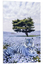 Tableau en PVC Purple Tiger