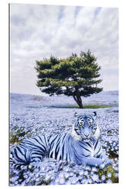 Gallery print Purple Tiger