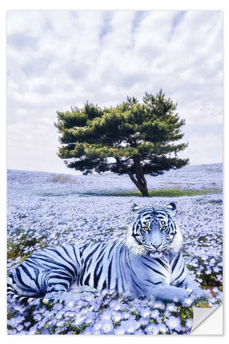 Wall sticker Purple Tiger