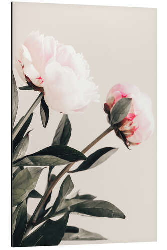 Alumiinitaulu Peonies on Beige