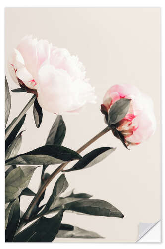 Sticker mural Peonies on Beige