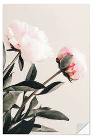 Sticker mural Peonies on Beige
