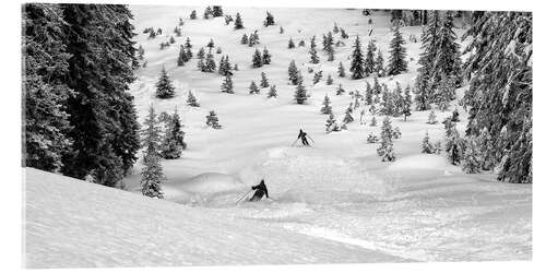 Tableau en verre acrylique Freeriders