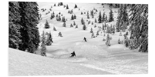 Foam board print Freeriders