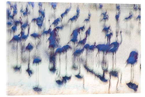 Acrylglas print Sensory Impressions - Blue Flamingo