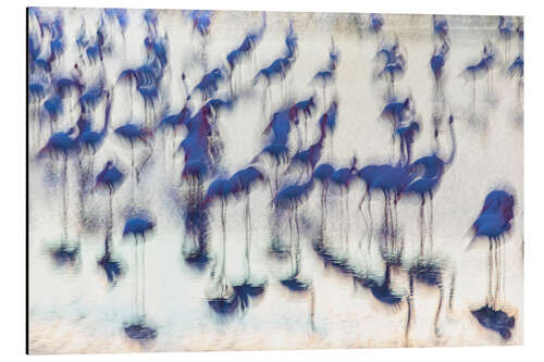 Aluminium print Sensory Impressions - Blue Flamingo