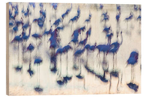 Stampa su legno Sensory Impressions - Blue Flamingo