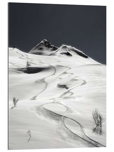 Gallery Print Freeride