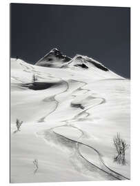 Gallery print Freeride