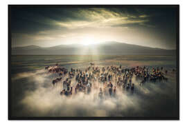 Gerahmter Kunstdruck Wildpferde