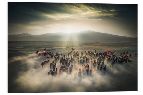 PVC print Wild Horses