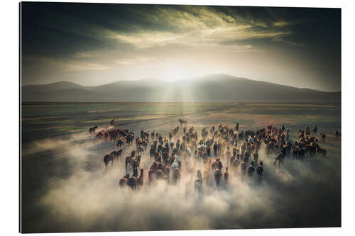 Gallery print Wild Horses