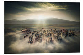 Magnettafel Wildpferde