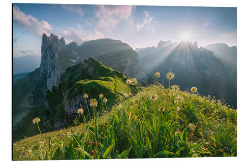 Alubild Hochsommer