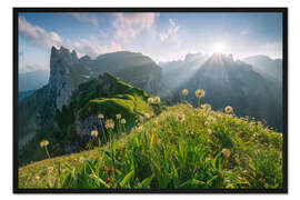 Gerahmter Kunstdruck Hochsommer