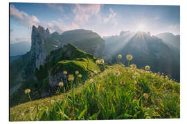 Magnettafel Hochsommer