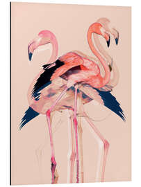 Aluminium print Flamingos II