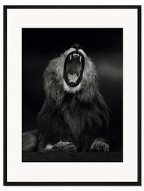 Gerahmter Kunstdruck Gähnender Löwe