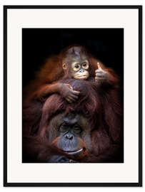 Gerahmter Kunstdruck Daumen hoch vom Orang Utan Baby