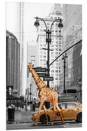 Hartschaumbild Giraffe Morning Walk