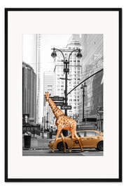 Gerahmter Kunstdruck Giraffe Morning Walk