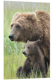 Tableau en PVC Momma Bear and Cub