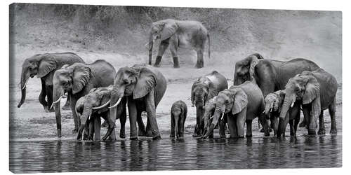 Canvastavla Herd of Elephants