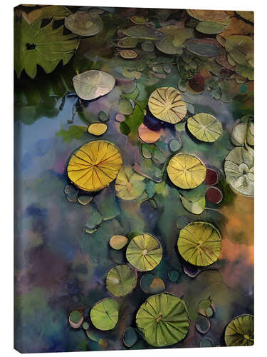 Canvas-taulu Lily Pads