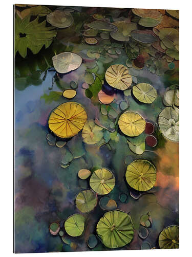 Gallery print Lily Pads