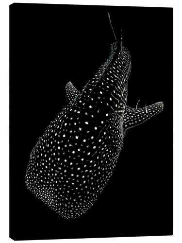 Canvas print Glowing Whale Shark