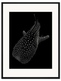 Gerahmter Kunstdruck Leuchtender Walhai