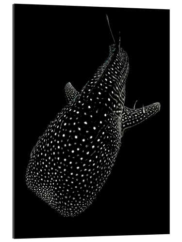 Galleritryk Glowing Whale Shark