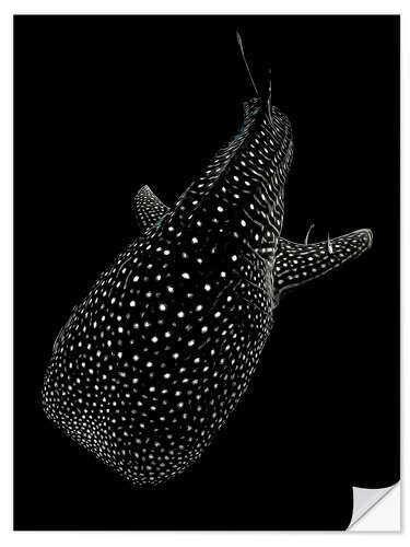 Selvklebende plakat Glowing Whale Shark