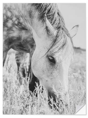 Wall sticker Stallion in the Meadow