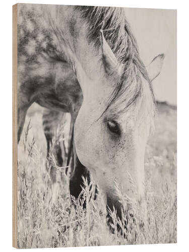 Wood print Stallion in the Meadow