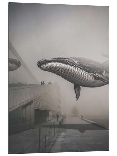 Gallery print Flying Whale