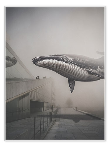 Poster Flying Whale