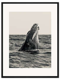 Gerahmter Kunstdruck Auftauchender Wal