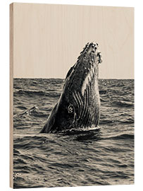 Tableau en bois Surfacing Whale