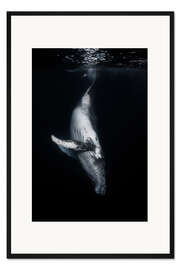 Gerahmter Kunstdruck In die Tiefe