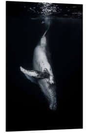 Magnettafel In die Tiefe