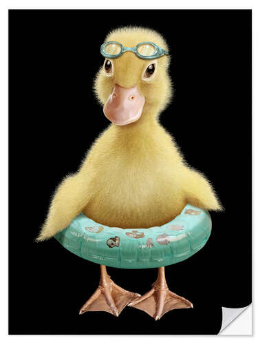 Wall sticker Swimming Duck