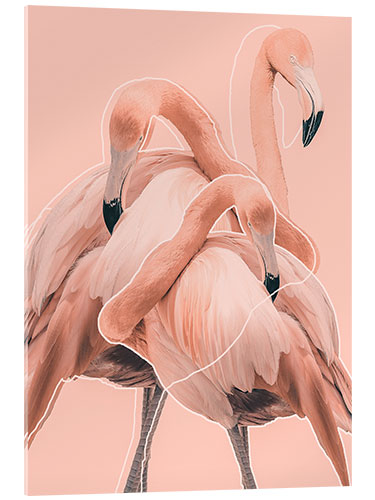 Acrylic print Flamingos I