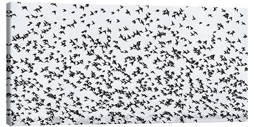 Canvas-taulu Flock of Birds