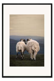 Gerahmter Kunstdruck Schafliebe