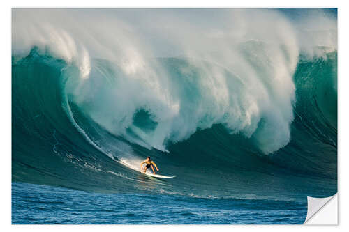 Wall sticker Surfer in a Wave