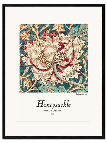 Ingelijste kunstdruk Honeysuckle