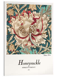 Gallery print Honeysuckle