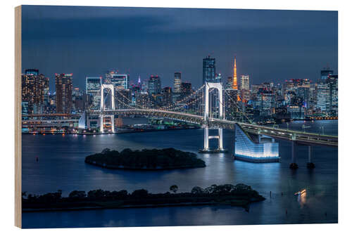 Cuadro de madera Rainbow Bridge in Tokyo, Japan