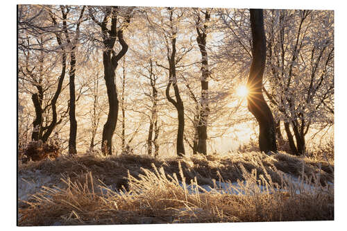 Tableau en aluminium Snowy Winter Forest